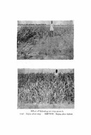 630.954552 Sa 21 S.pdf.jpg